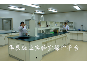 華辰堿業(yè)實(shí)驗室操作平臺